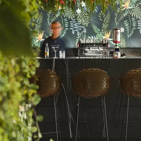 Hotel Ibis Styles Centre 3*